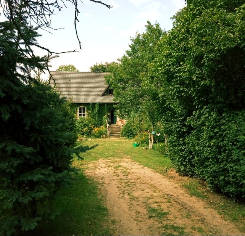Picture